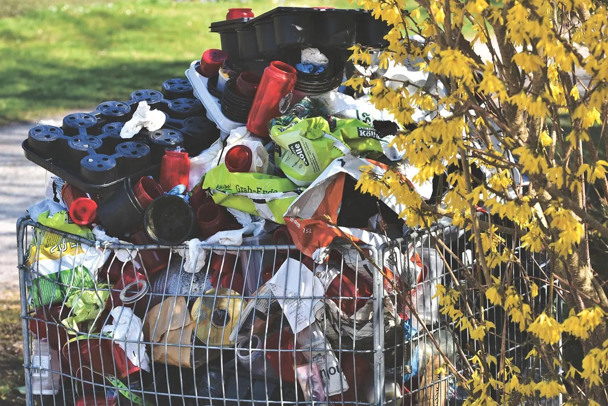 7 Common Recycling Mistakes Hawthorn Residents Make — and How to Fix Them