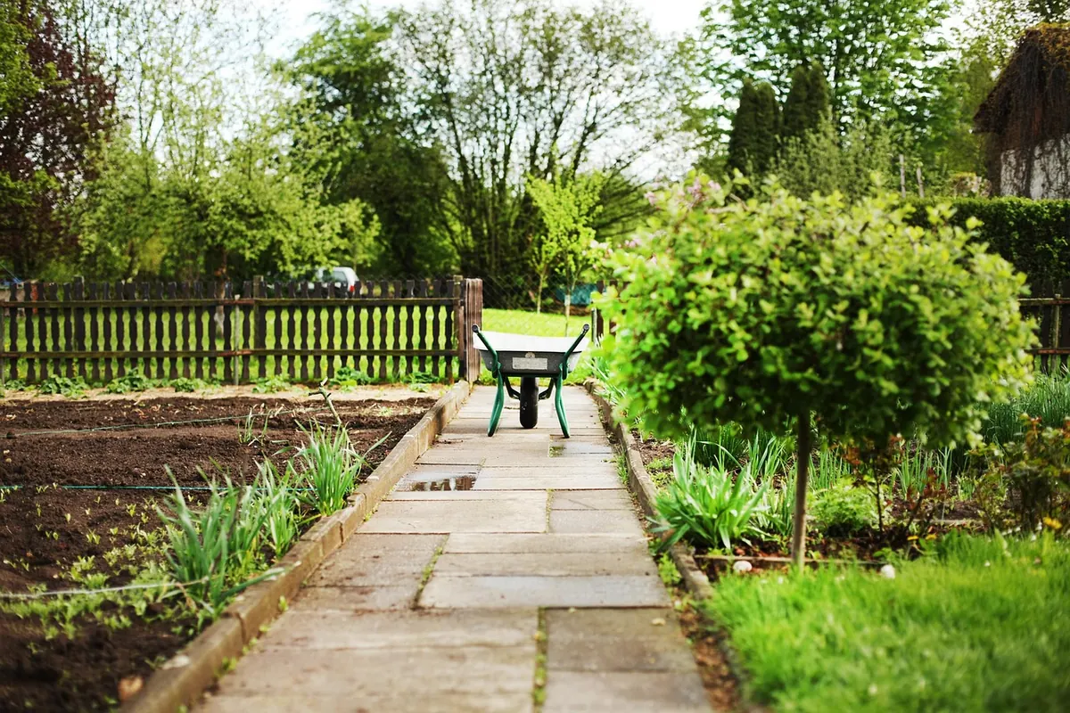 How to Register for a Hawthorn Community Garden Plot Before the Spring Deadline